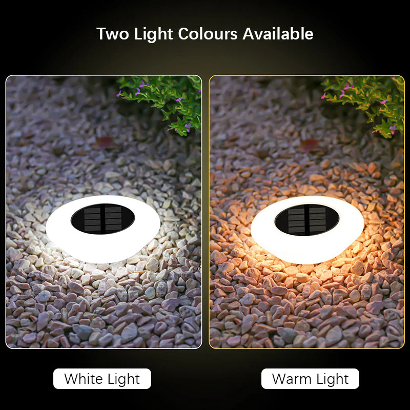 Solar Lawn Lamp Set, 14 LED Waterproof Landscape Light